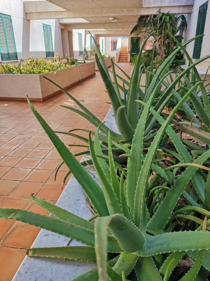 Apartamento Balancon pool El Médano Exterior foto